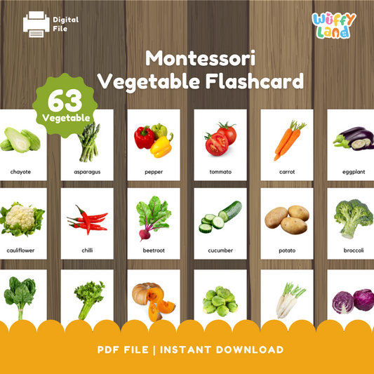 Montessori Vegetable Flashcard