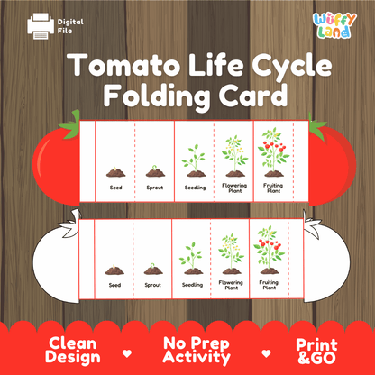 Tomato Life Cycle Folding Card Activity Plant Science Craft Printable
