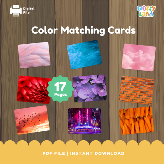 Color Matching Cards