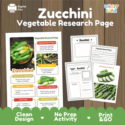 Zucchini Vegetable Research Page Science Worksheets and Fact Sheet