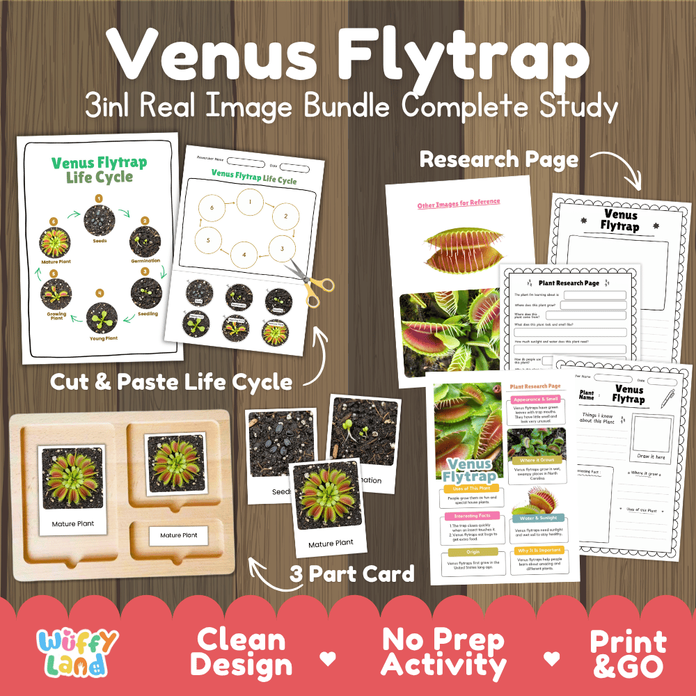 Venus Flytrap 3in1 Real Image Bundle Complete Study
