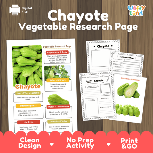 Chayote Research Project | Vegetable Pear Scieacnce Activity | Plant Study | Food