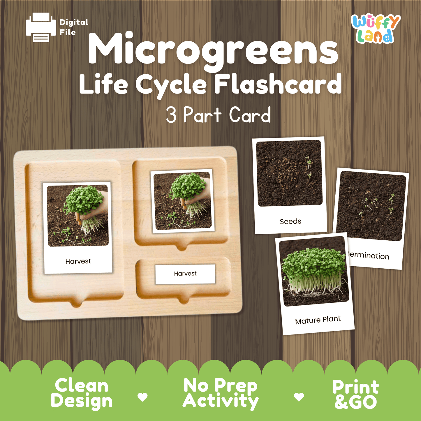 Microgreens Life Cycle Montessori 3-Part Cards - Science Botany Flashcards