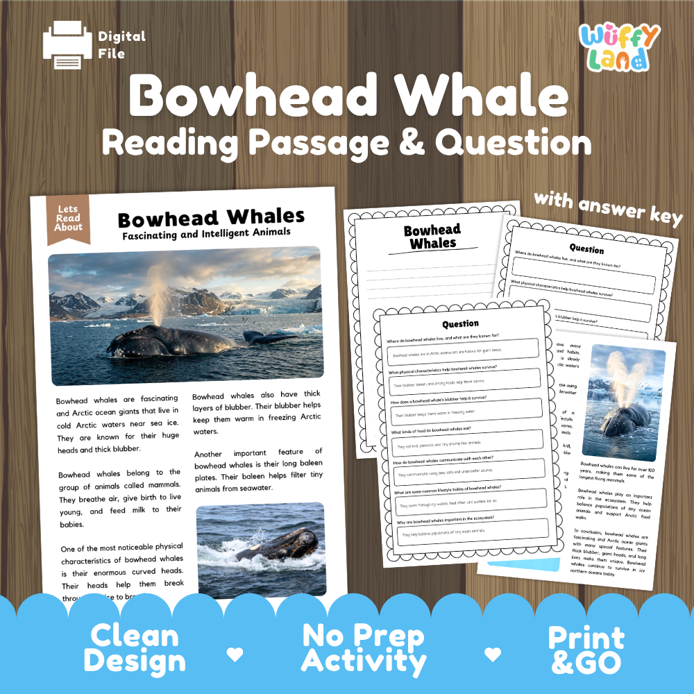 Bowhead Whale Reading Passage and Comprehension Questions Worksheets