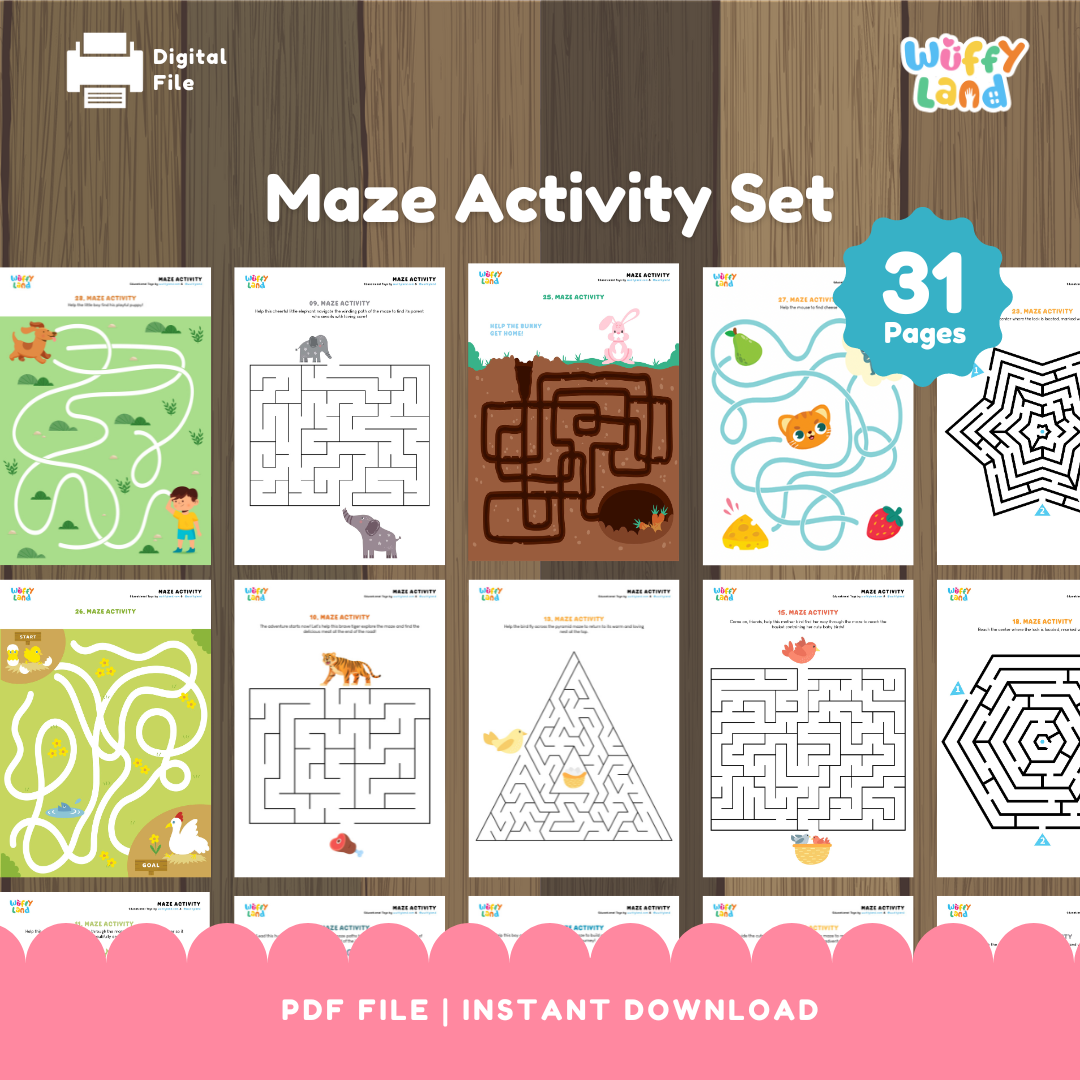 Maze Activity Set