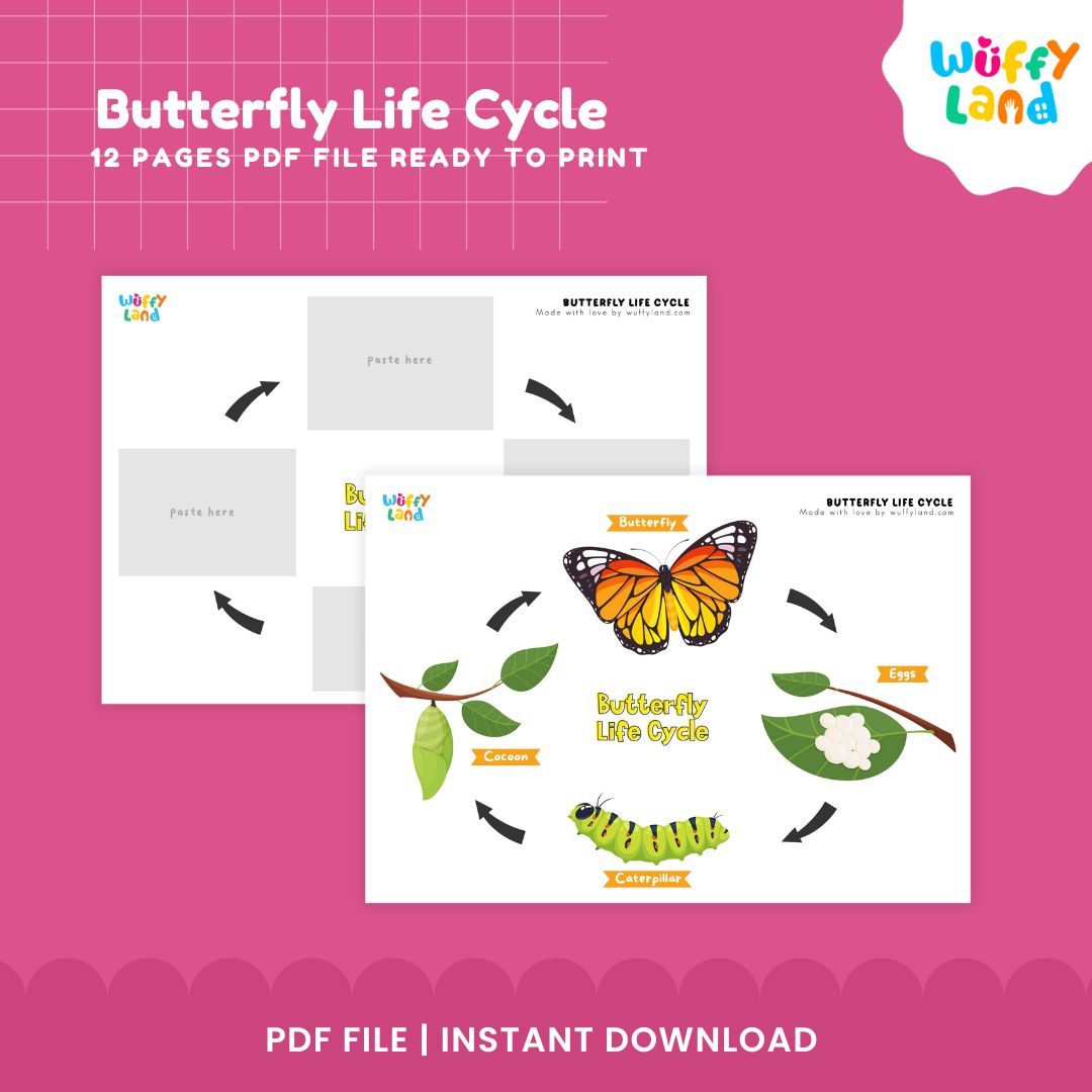 Butterfly Life Cycle Printable - Life Cycle Learning for Kids