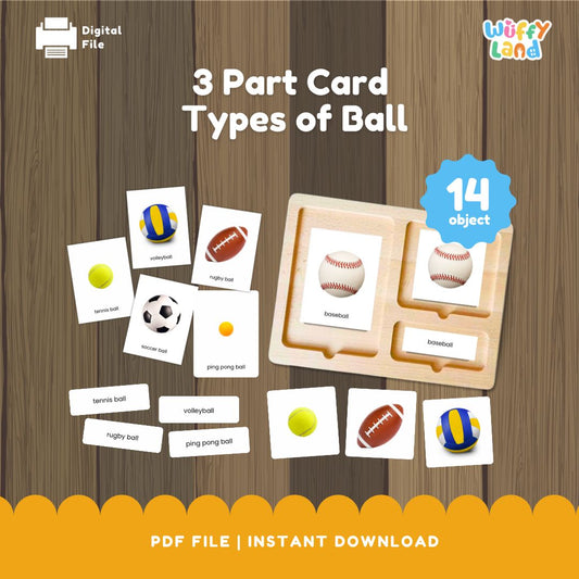 Kartu Sport Ball Montessori 3 Bagian dengan Gambar Asli
