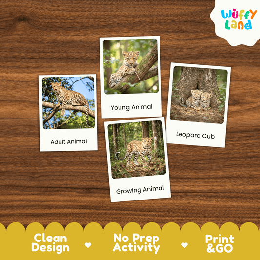 Leopard Life Cycle Montessori 3-Part Cards - Science Zoology Mammal Flashcards