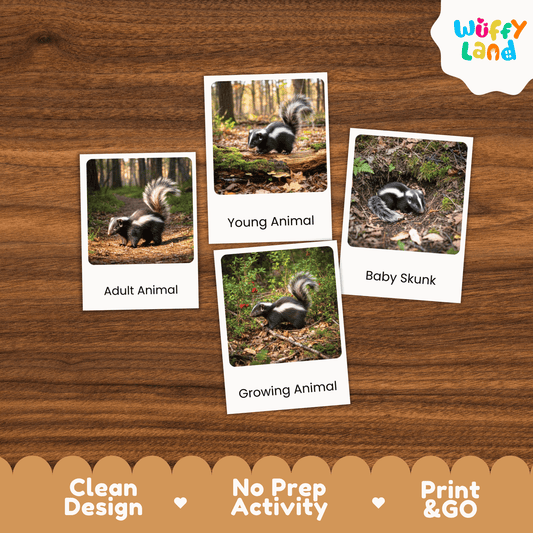 Skunk Life Cycle Montessori 3-Part Cards - Science Zoology Mammal Flashcards