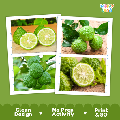 Kaffir Lime Cut and Match Activity Printable Set