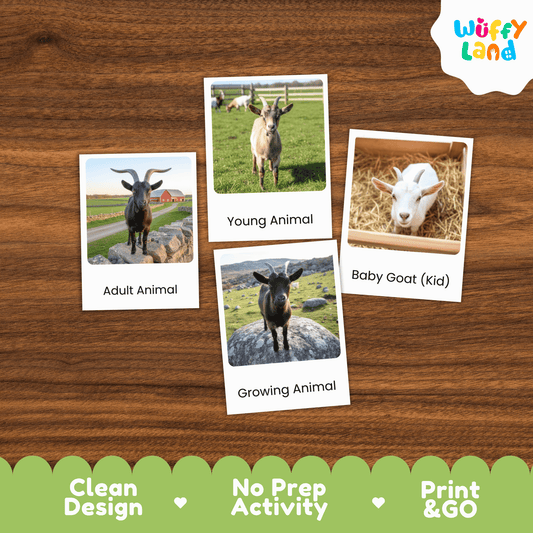 Goat Life Cycle Montessori 3-Part Cards - Science Zoology Flashcard