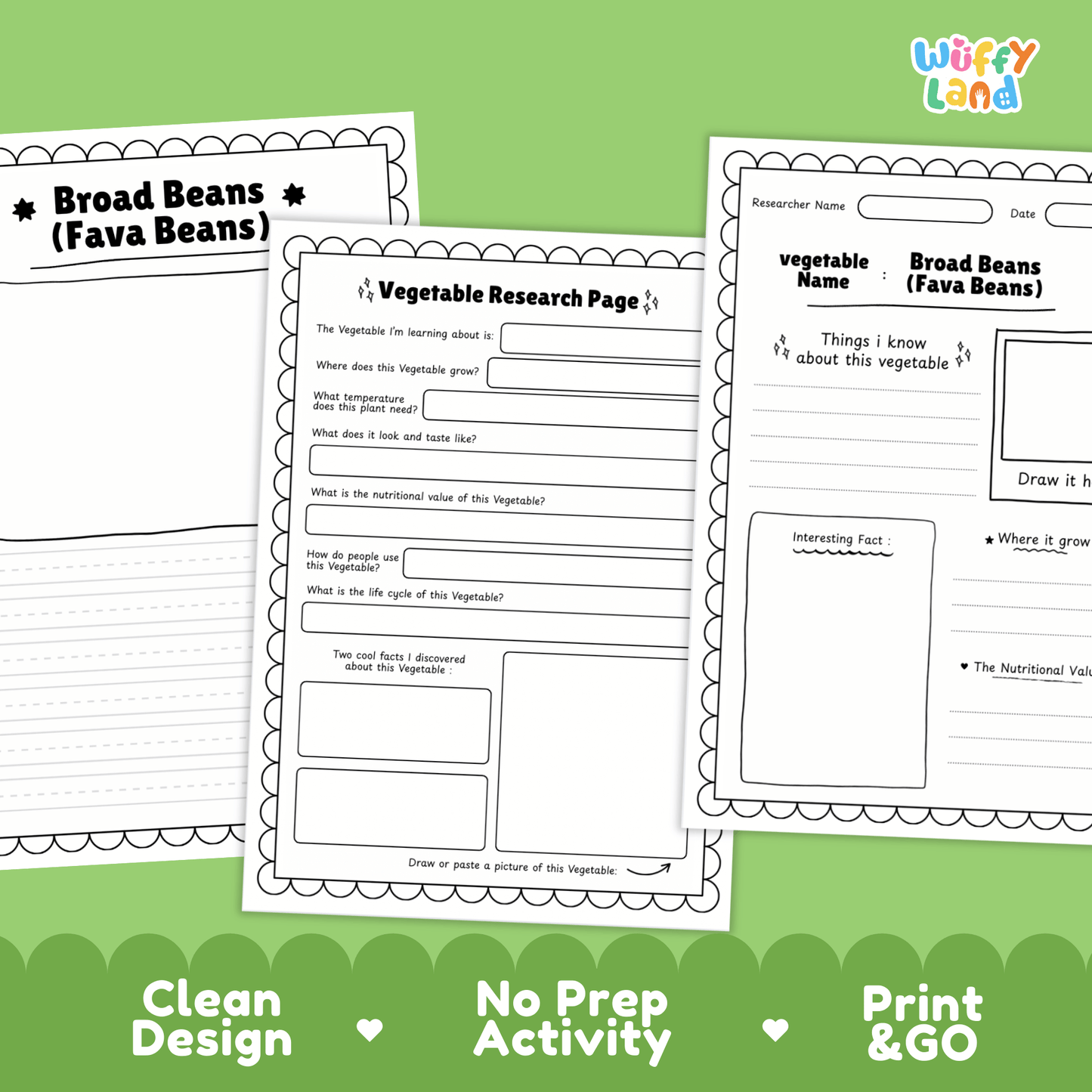 Broad Beans Fava Beans Vegetable Research Activity Worksheet Healthy Eating