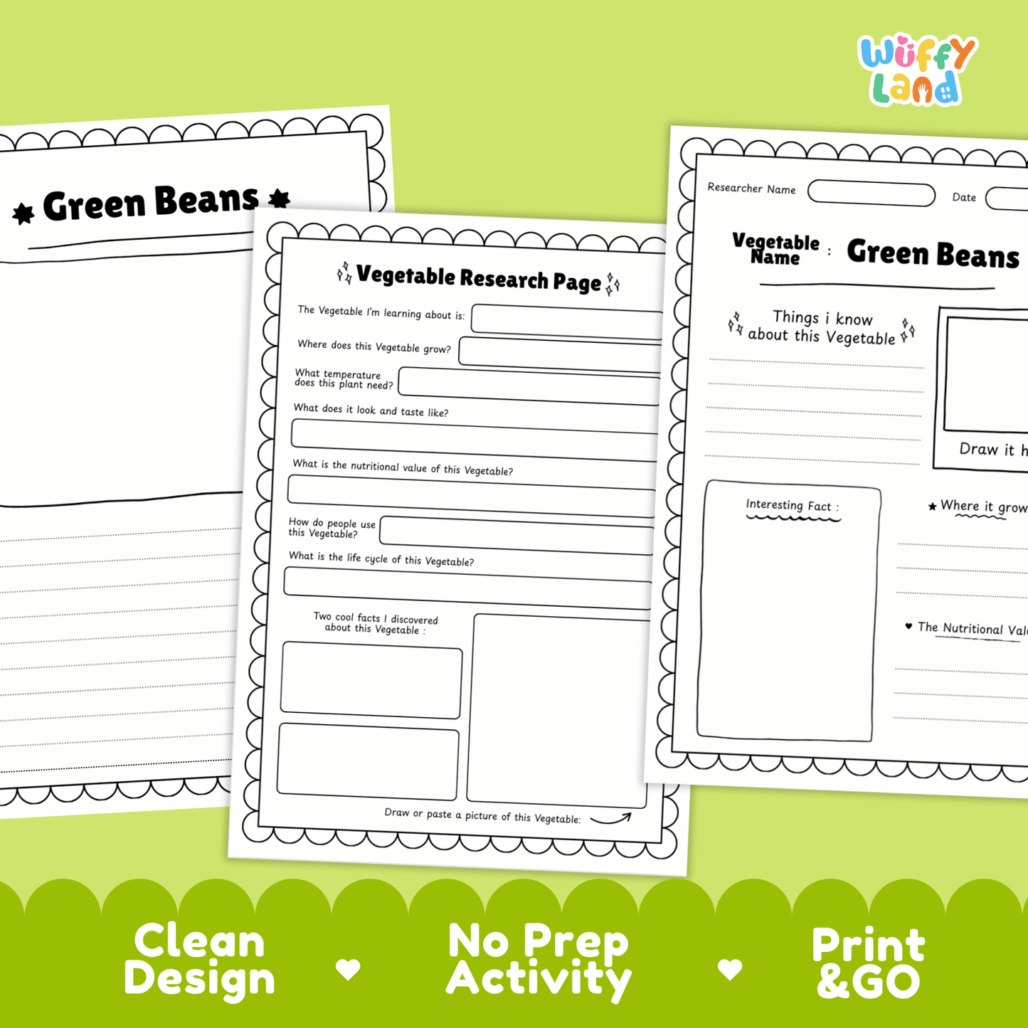 Green Beans Vegetable Research Activity Worksheet Science String Beans Gardening