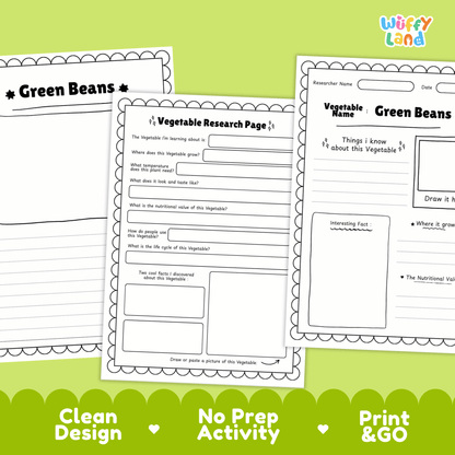 Green Beans Vegetable Research Activity Worksheet Science String Beans Gardening