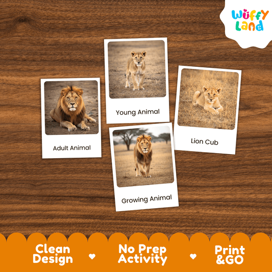 Lion Life Cycle Montessori 3-Part Cards - Science Zoology Mammal Flashcards