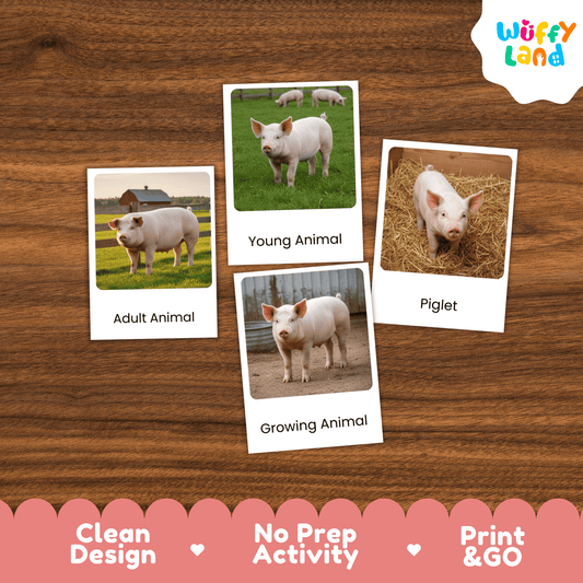 Pig Life Cycle Montessori 3-Part Cards - Science Zoology Flashcard