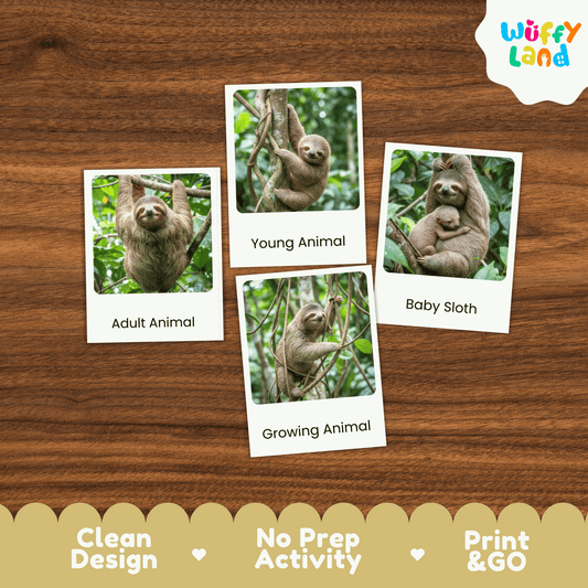 Sloth Life Cycle Montessori 3-Part Cards - Science Zoology Mammal Flashcards