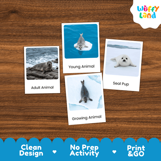 Seal Life Cycle Montessori 3-Part Cards - Science Zoology Marine Flashcards