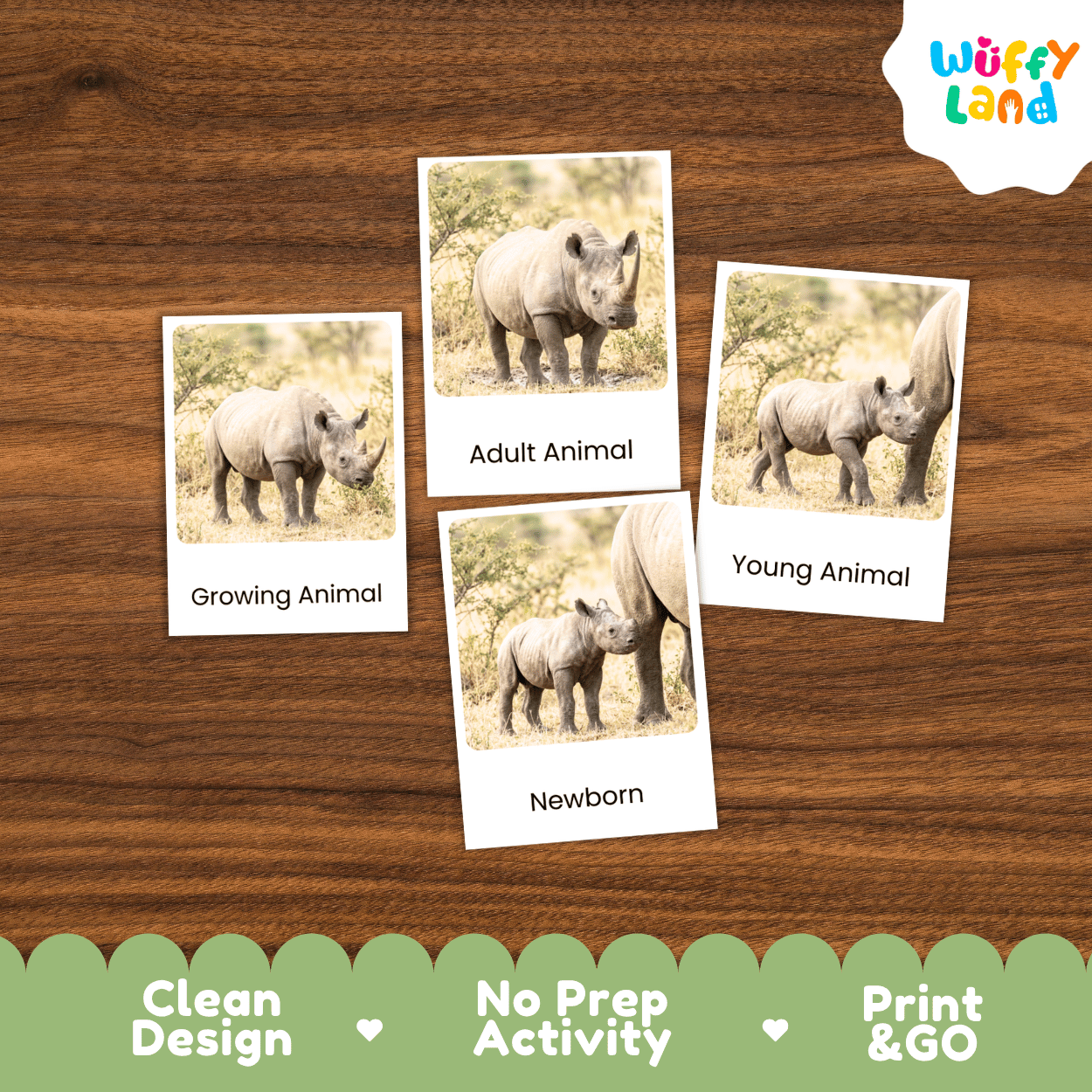 Black Rhinoceros Life Cycle Flashcards | Montessori 3 Part Cards Mammal Activity