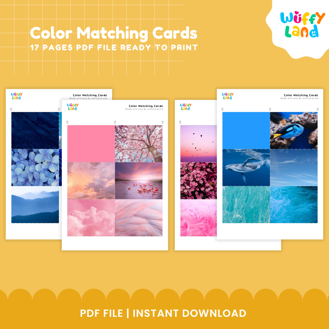 Color Matching Cards