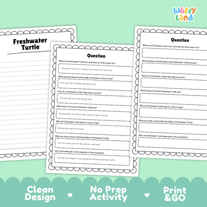 Freshwater Turtle Reading Passage and Questions Worksheets with Answer Key