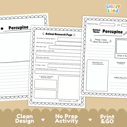Porcupine Animal Research Page Worksheets and Fact Sheet Activity