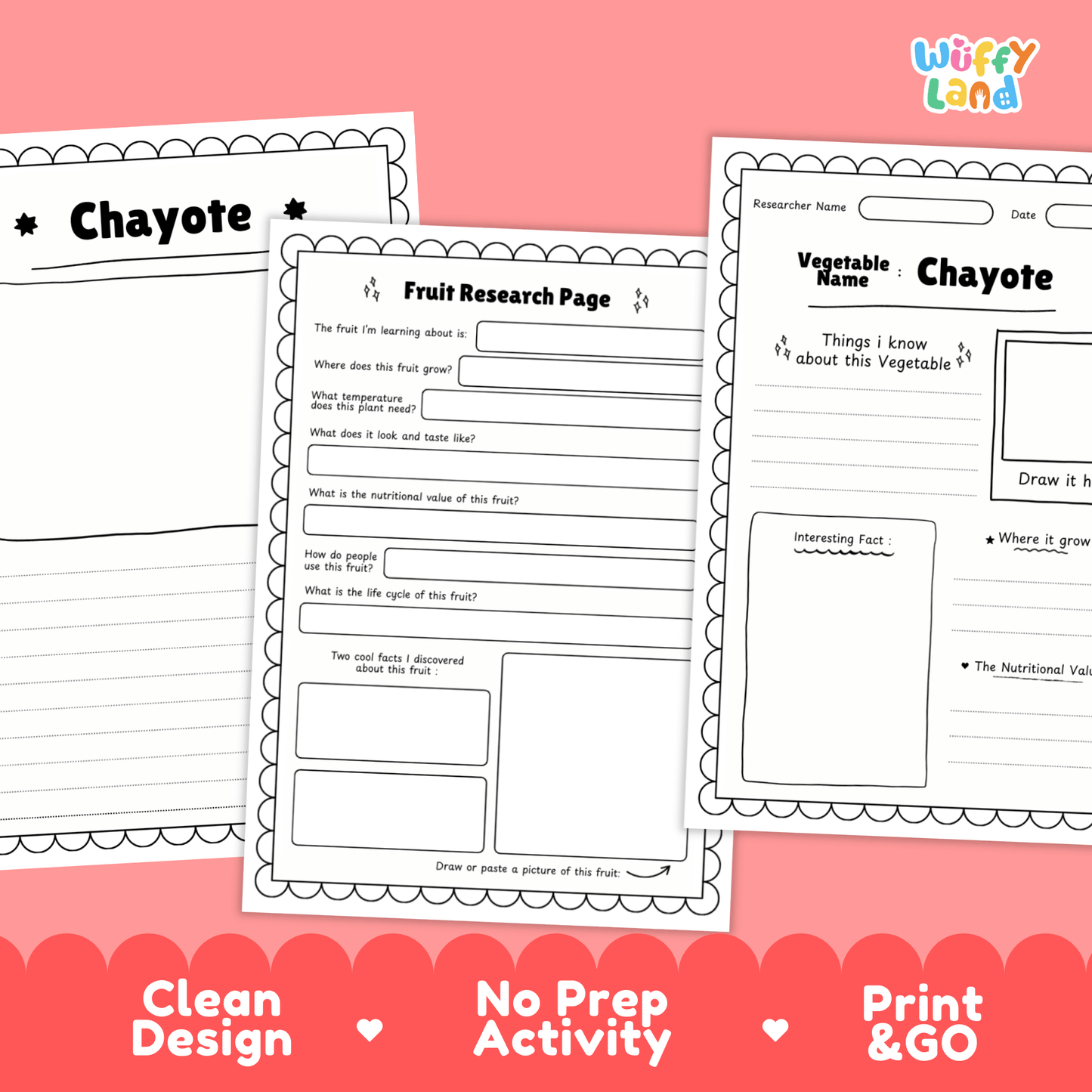 Chayote Research Project | Vegetable Pear Scieacnce Activity | Plant Study | Food