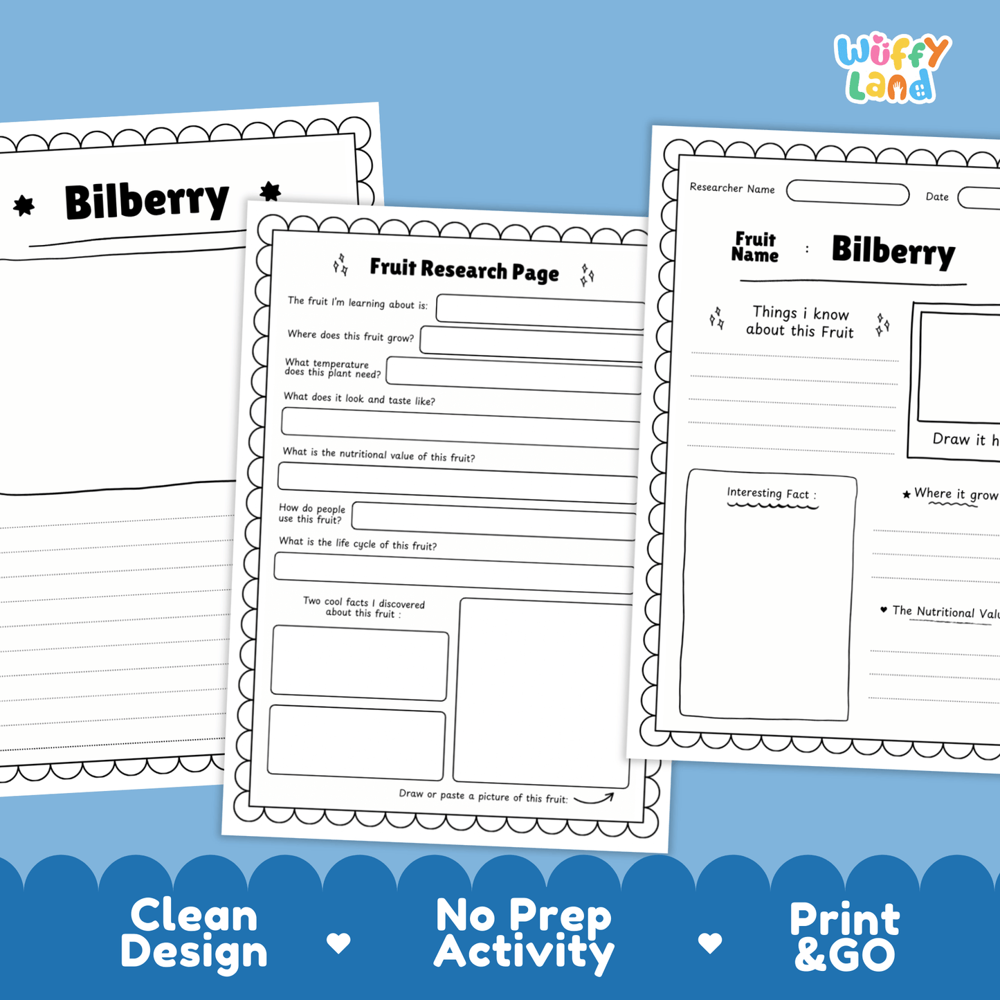 Bilberry Science Activity | Fruit Research Project | Biology | Nature Study