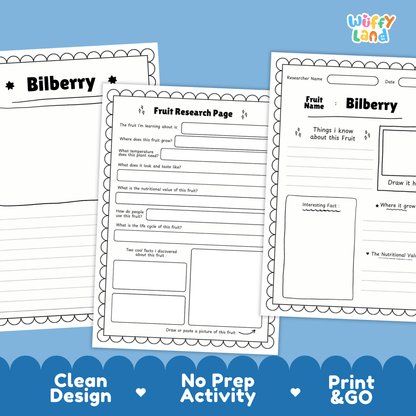 Bilberry Science Activity | Fruit Research Project | Biology | Nature Study