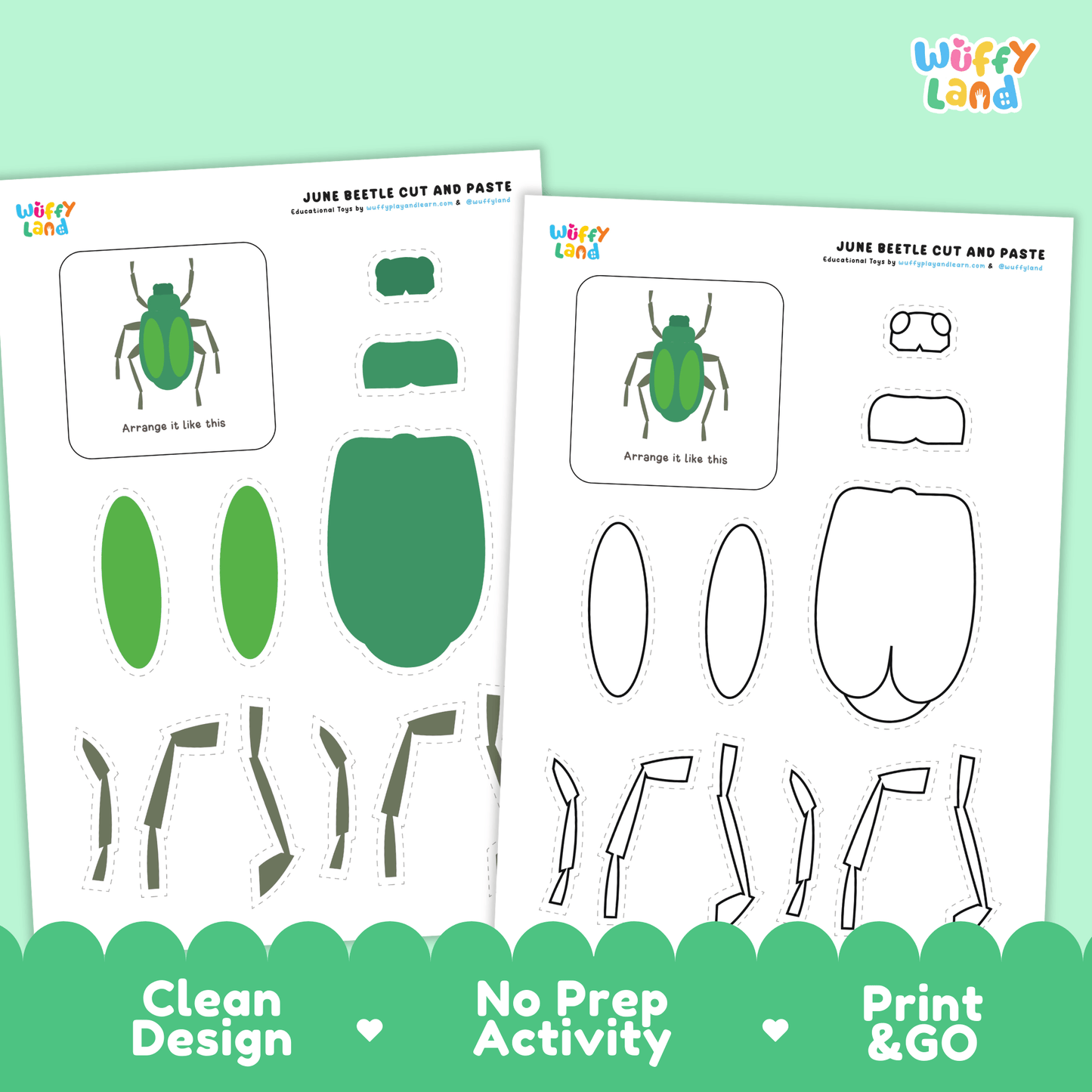June Beetle Cut and Paste Craft | Beetle Coloring Page & Insect Activity