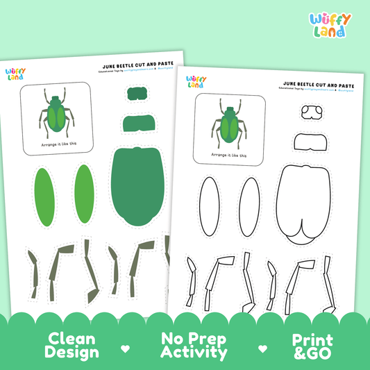 June Beetle Cut and Paste Craft | Beetle Coloring Page & Insect Activity