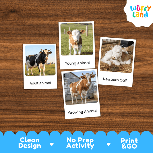 Cow Life Cycle Montessori 3-Part Cards - Science Zoology Farm Animal Flashcards