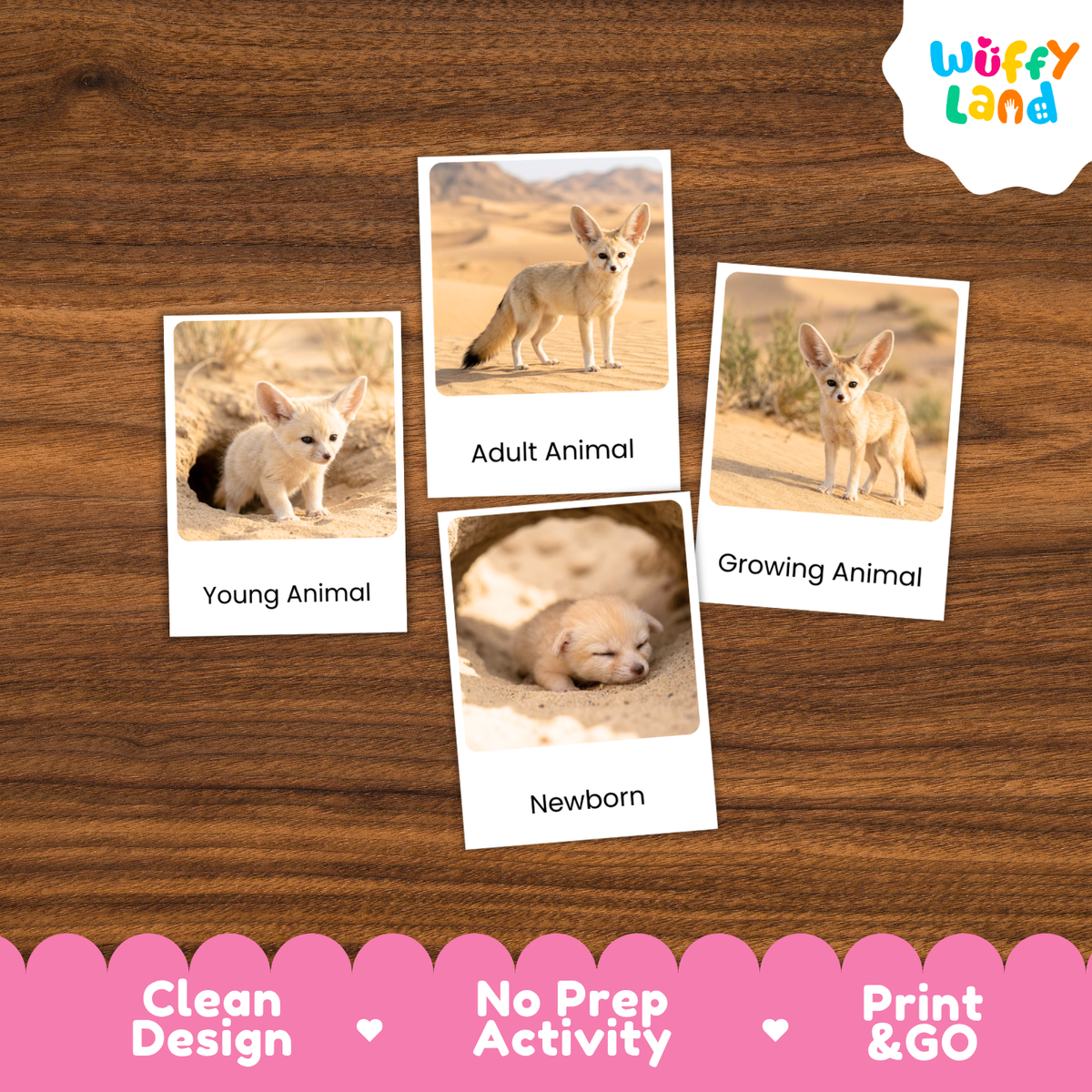 Four printed activity cards showing fennec foxes in different life stages, arranged on a brown wood background. The cards read 'Young Animal,' 'Adult Animal,' 'Growing Animal,' and 'Newborn.