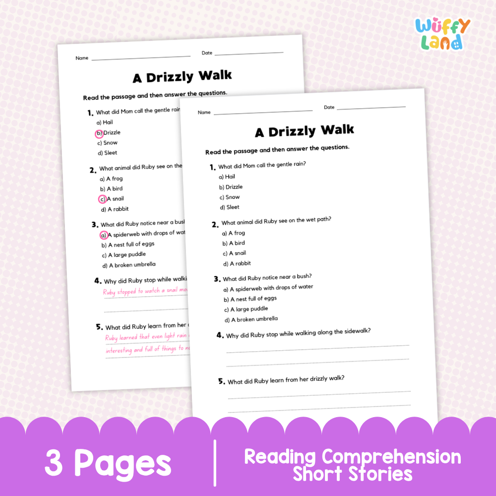 A Drizzly Walk Reading Comprehension Passage and Questions Worksheets