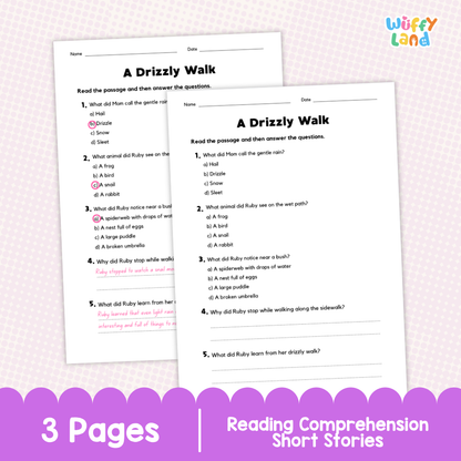 A Drizzly Walk Reading Comprehension Passage and Questions Worksheets