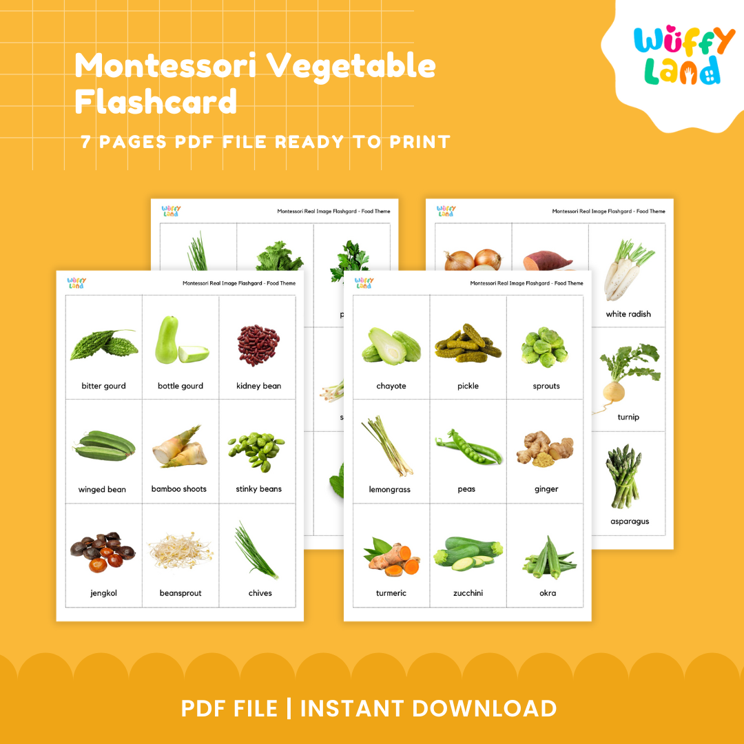 Montessori Vegetable Flashcard