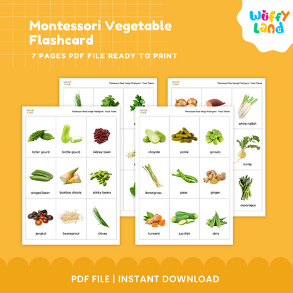 Montessori Vegetable Flashcard