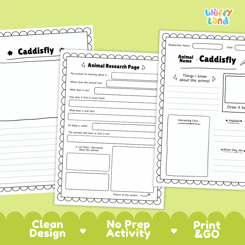 CaddisFly Animal Research Page and Worksheets