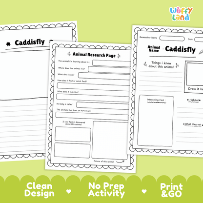 CaddisFly Animal Research Page and Worksheets