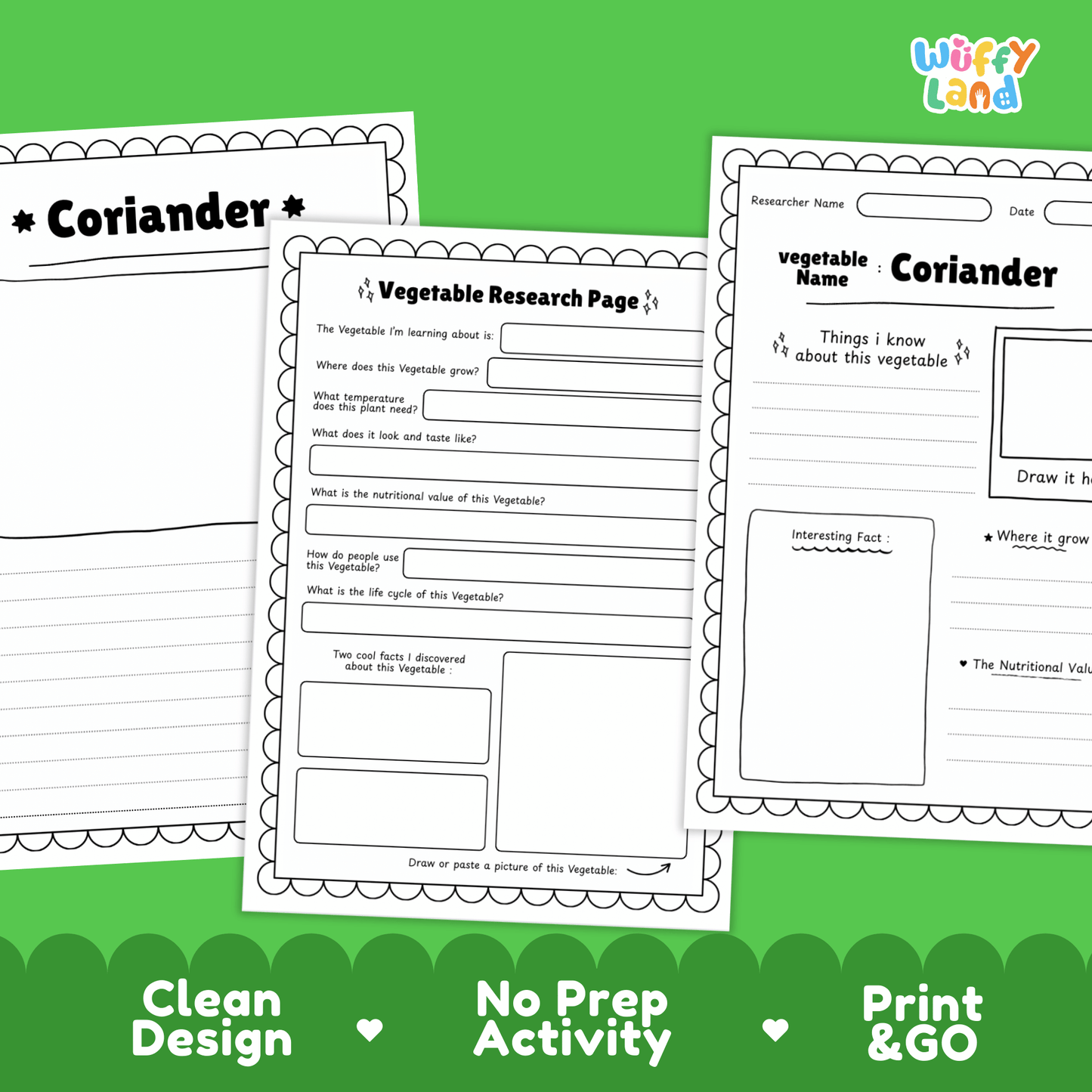 Coriander Research Activity Vegetable Science Worksheet Herb Garden Cilantro