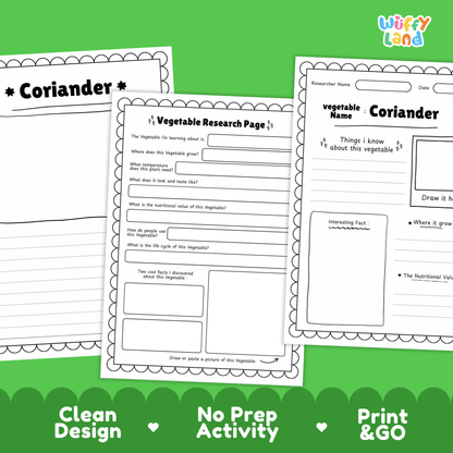 Coriander Research Activity Vegetable Science Worksheet Herb Garden Cilantro
