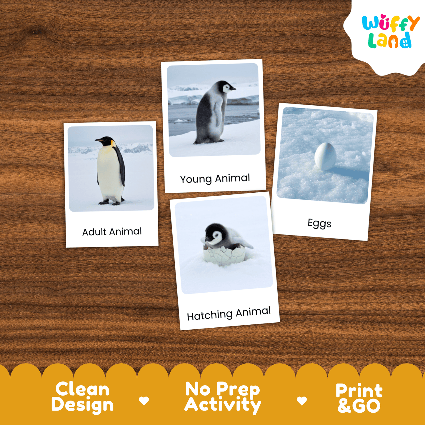 Penguin Life Cycle Montessori 3-Part Cards - Science Zoology Flashcards