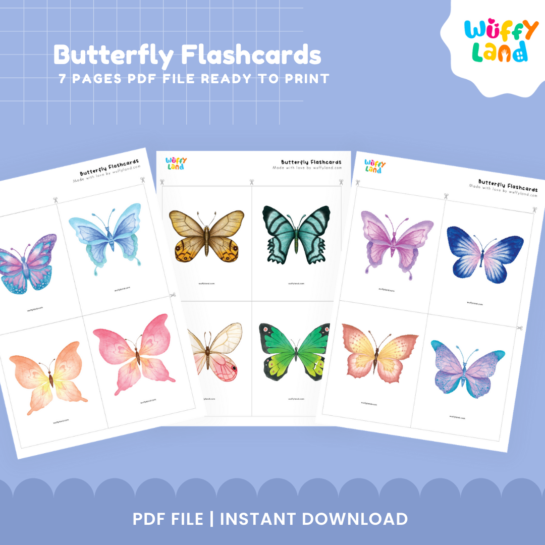 Butterfly Flashcards