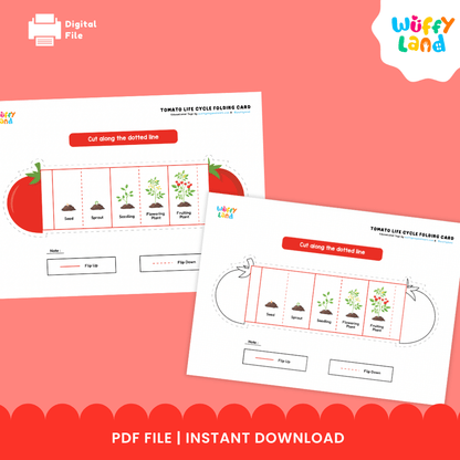 Tomato Life Cycle Folding Card Activity Plant Science Craft Printable