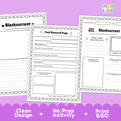 Blackcurrant Science Activity | Fruit Research Project | Biology | Nature Study
