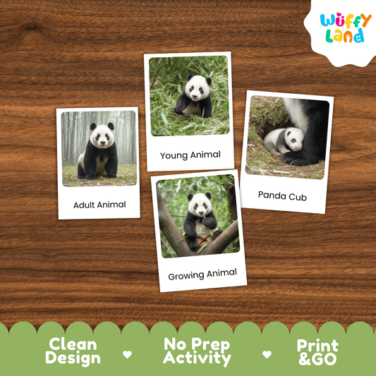 Panda Life Cycle Montessori 3-Part Cards - Science Zoology Mammal Flashcards