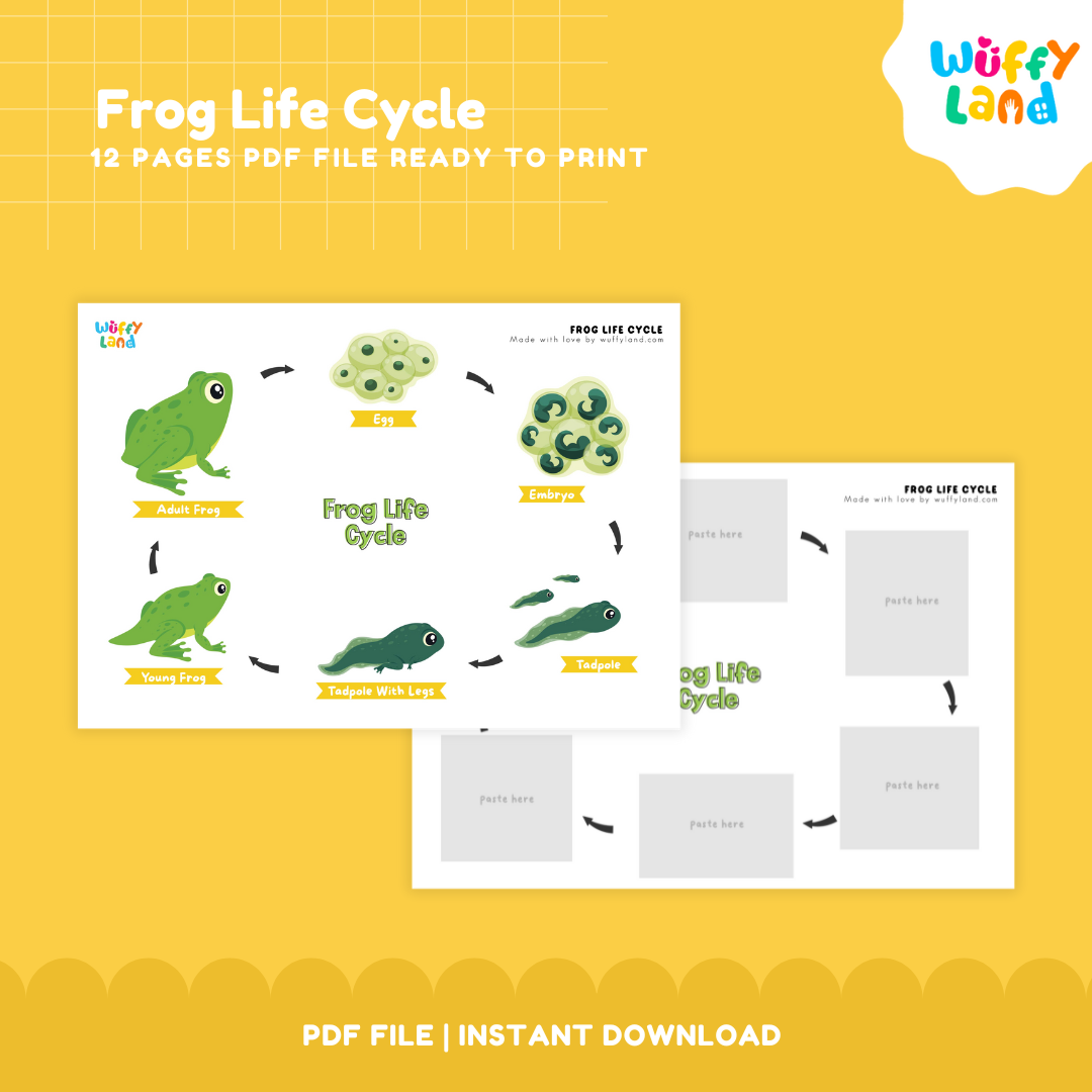 Frog Life Cycle Printable - Fun & Educational Science Activity for Kids