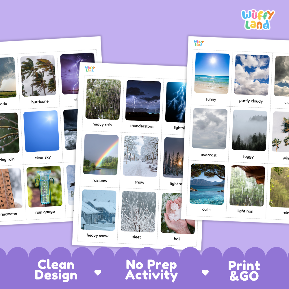 Weather and Climate Vocabulary Flashcards Printable Real Photo Cards