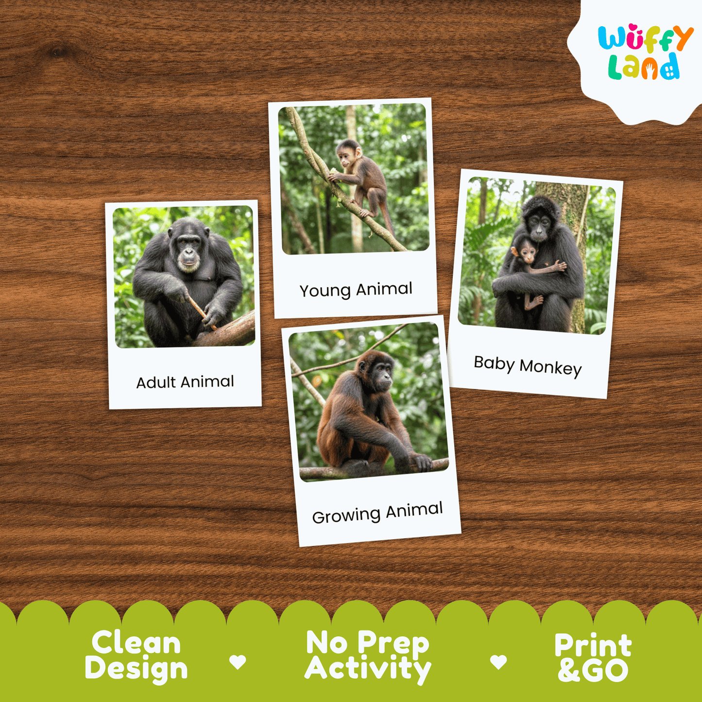 Monkey Life Cycle Montessori 3-Part Cards - Science Zoology Mammal Flashcards