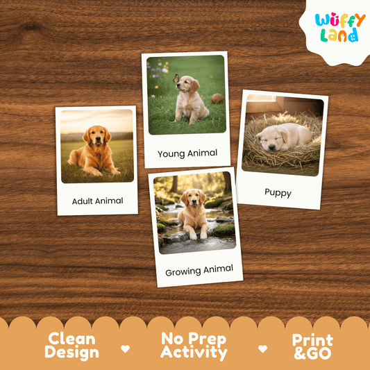 Dog Life Cycle Montessori 3-Part Cards - Science Zoology Mammal Flashcards